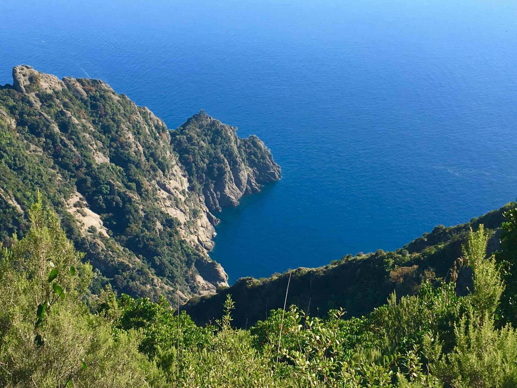 sentiero san rocco batterie san fruttuoso